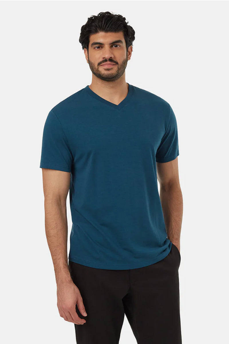 Blue v neck t shirt best sale