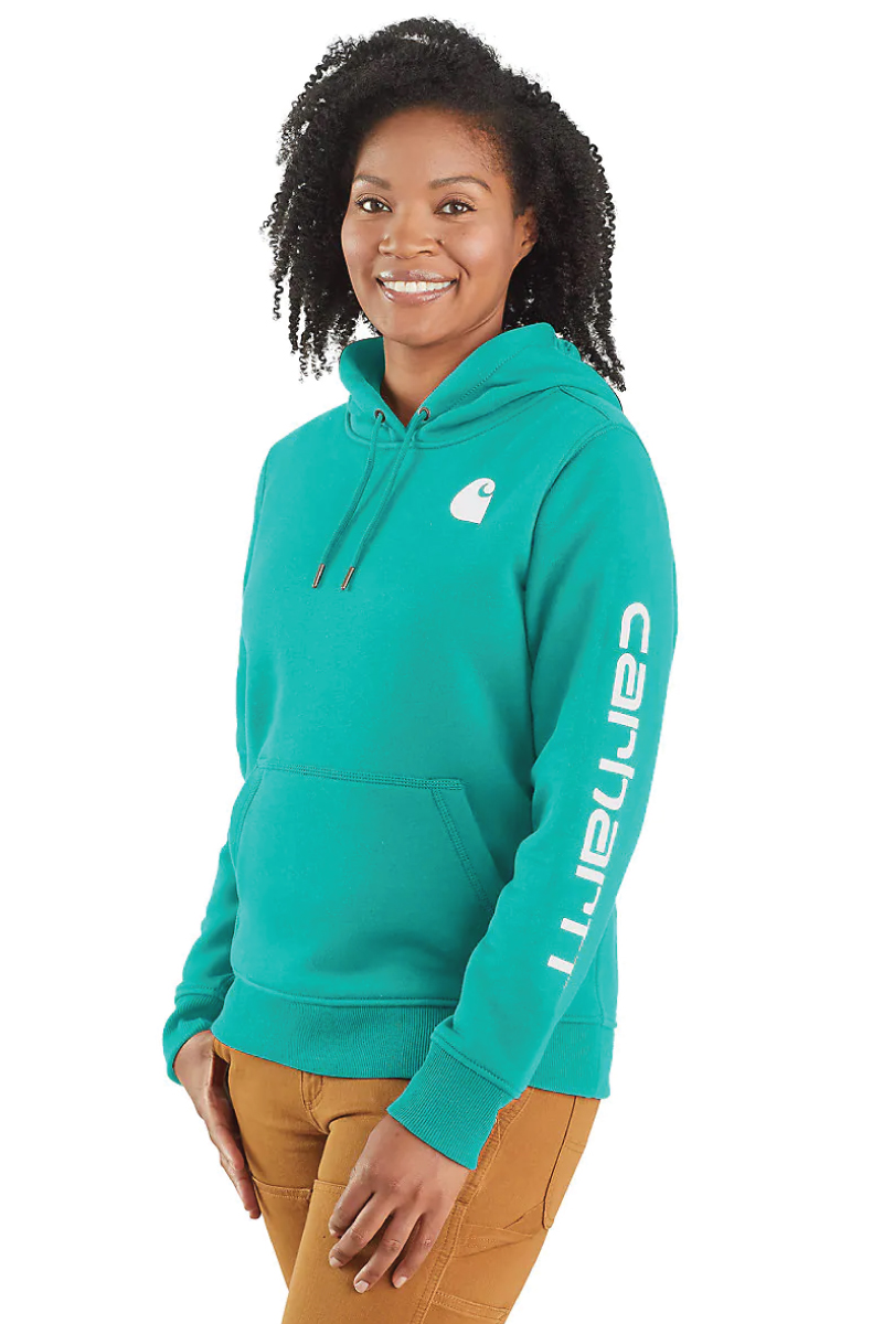 Clarksburg Graphic Sleeve Hoodie - AQU