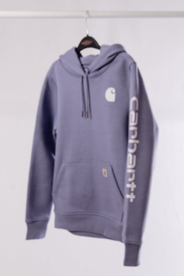 Clarksburg Graphic Sleeve Hoodie - WIS