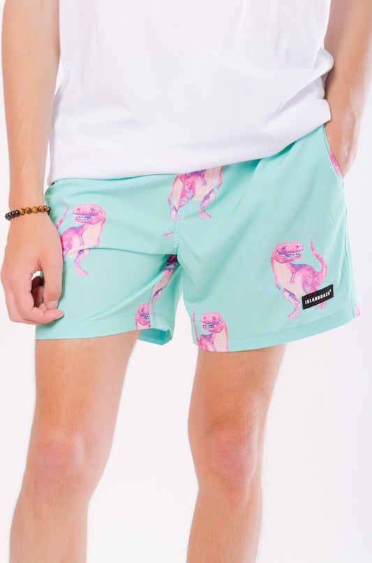 Dinosaur Swim Shorts - GRN