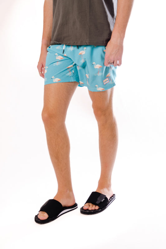 Flamingo Flock Swim Shorts - AQU