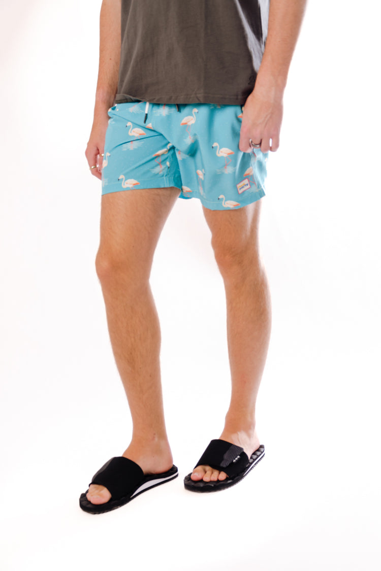 Flamingo Flock Swim Shorts - AQU