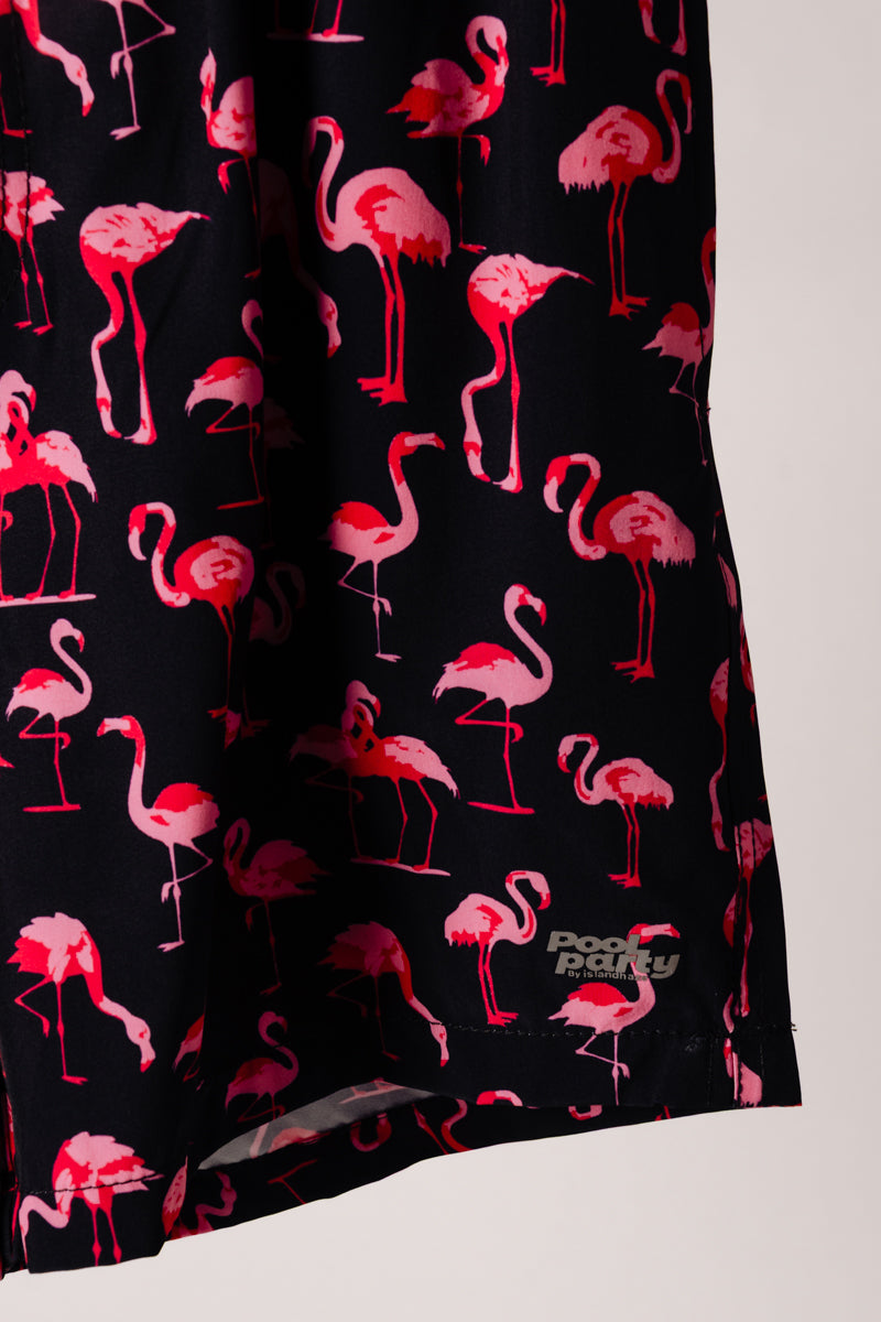 Flamingo Pool Party Swim Shorts - BLK