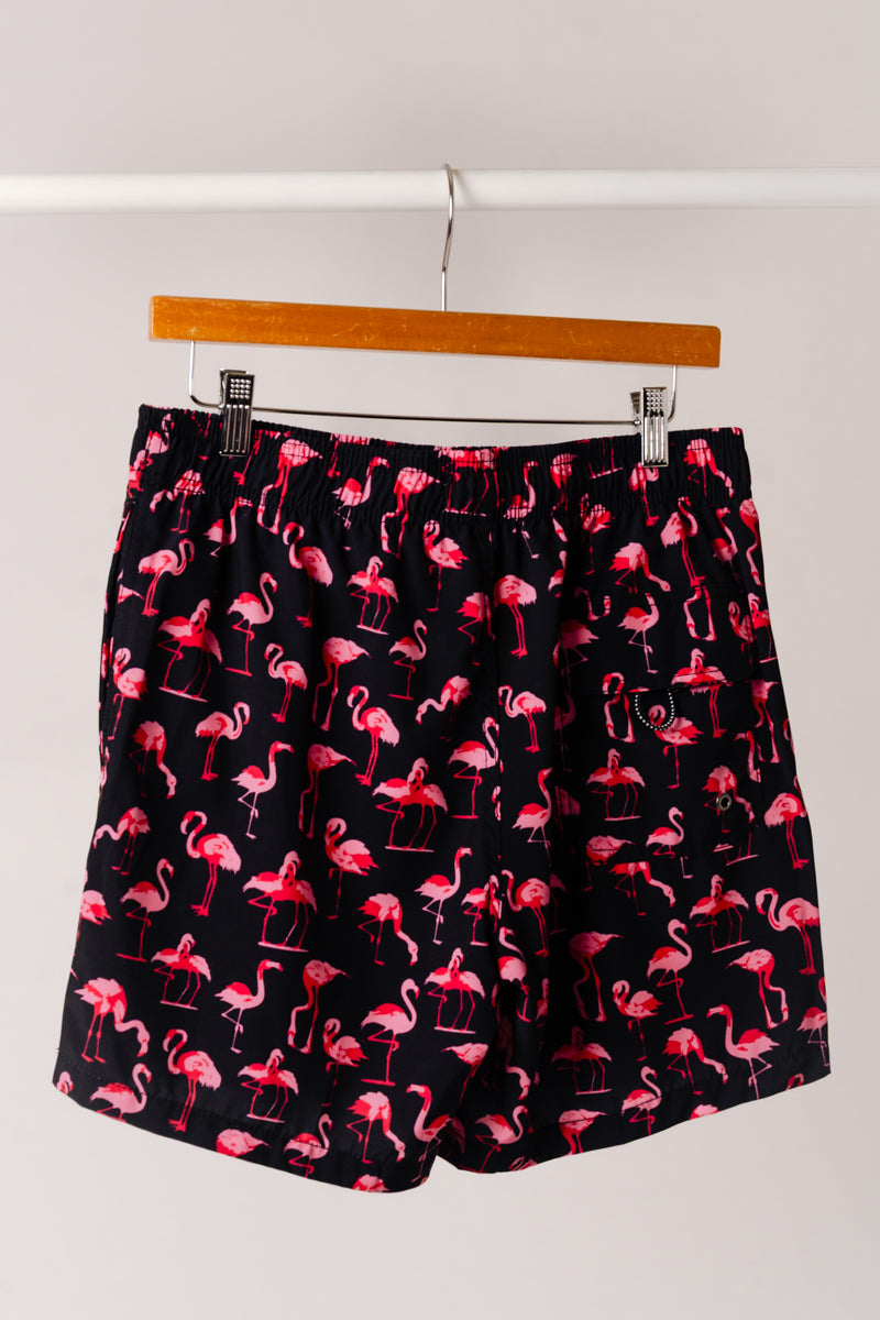 Flamingo Pool Party Swim Shorts - BLK