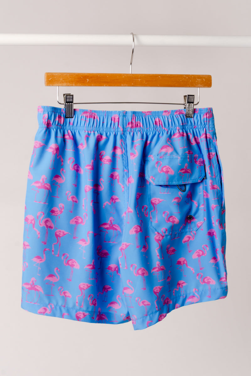 Flamingo Pool Party Swim Shorts - BLU