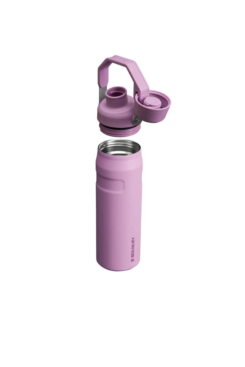 Iceflow Bottle with Fast Flow Lid 24 oz - Lilac