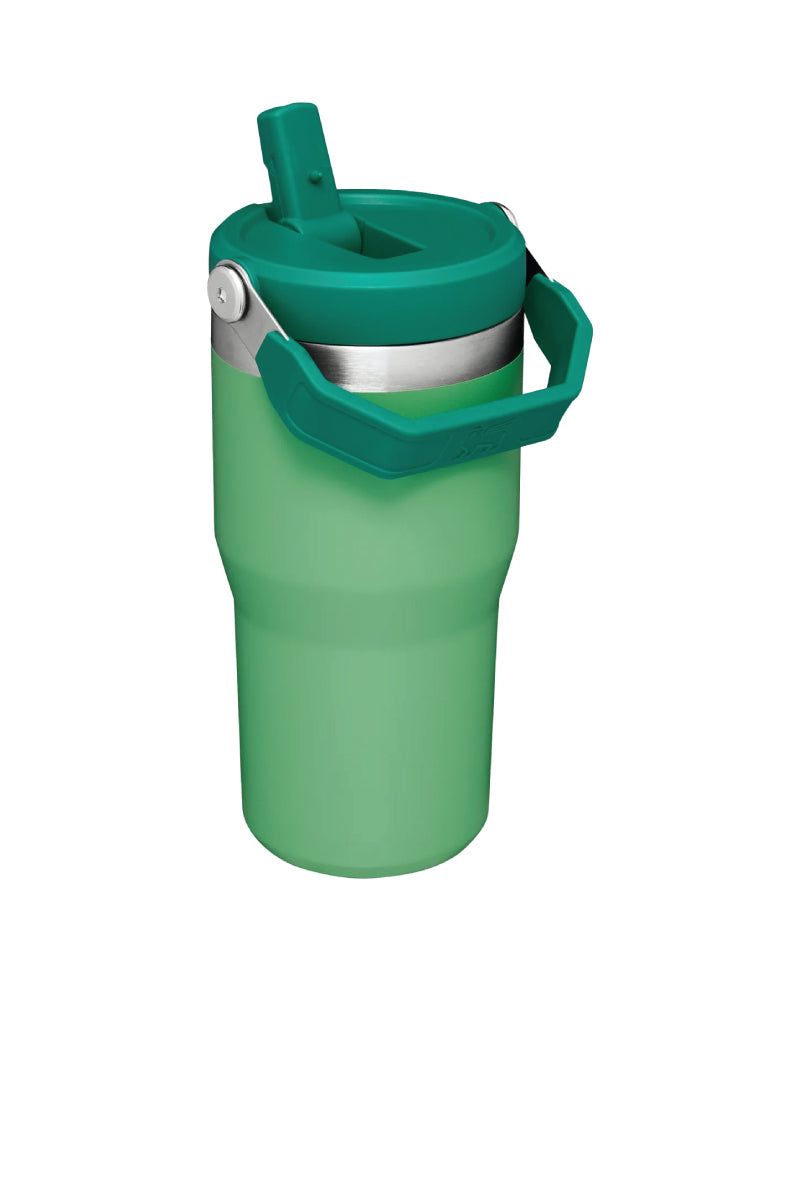 Iceflow Flip Straw Tumbler 20 oz - Jade - JDE