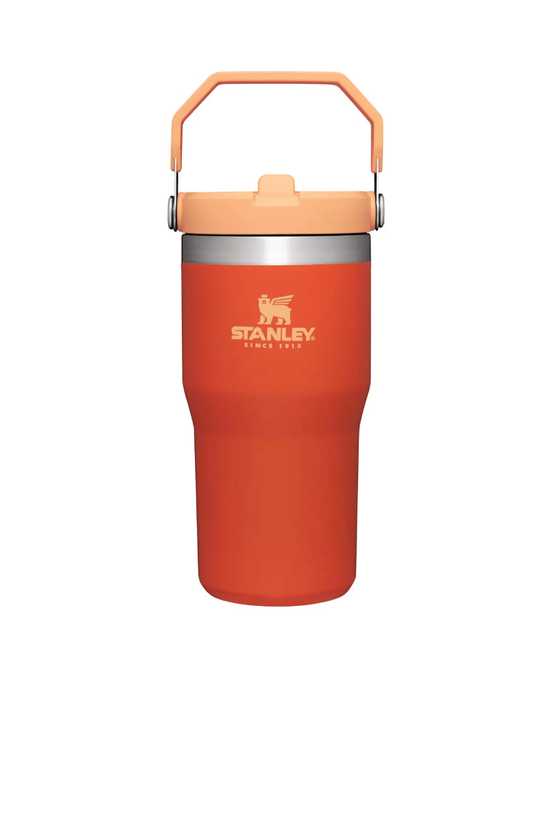 Iceflow Flip Straw Tumbler 20 oz - Tigerlily - TIG