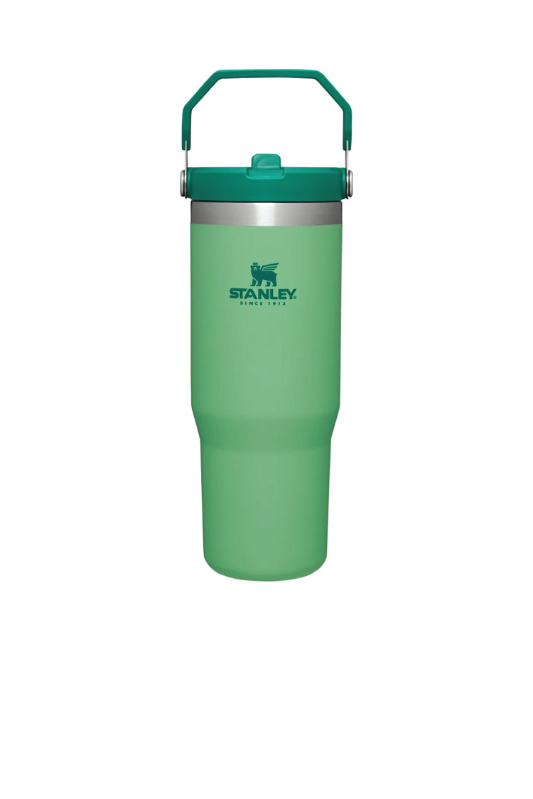 Iceflow Flip Straw Tumbler 30 oz - Jade - JDE