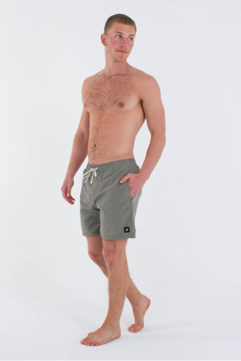 Icon Balboa Volley Boardshort - ARM