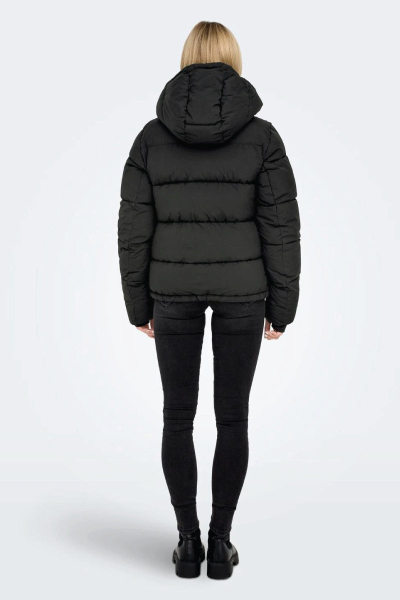 Lann Puffer Shorty Coat