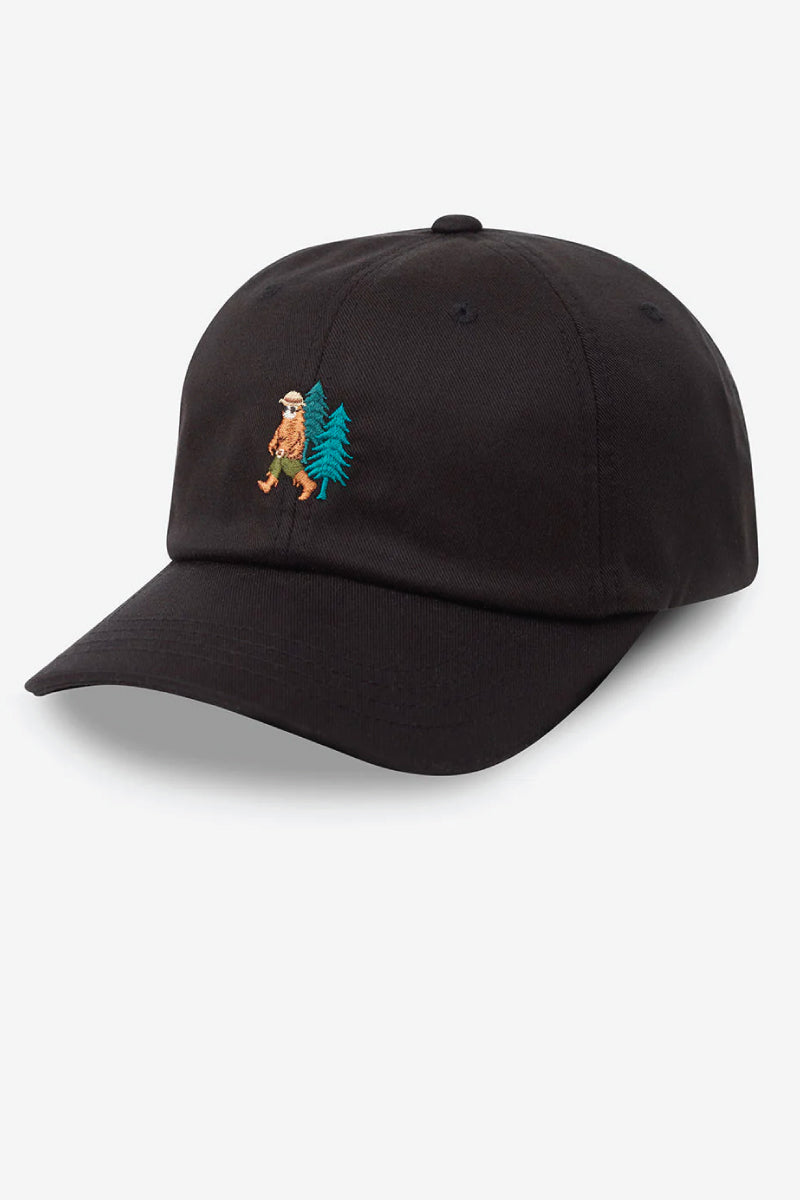 Summer Sasquatch Peak Hat