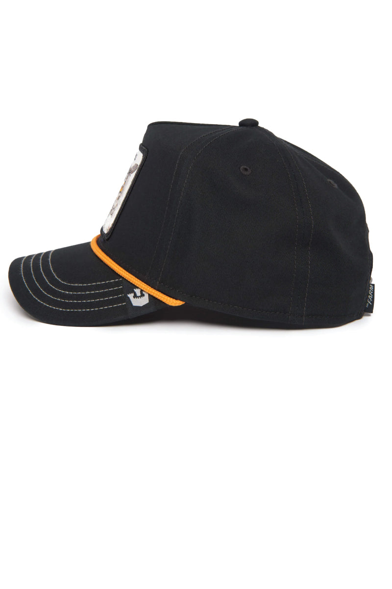 Unisex Wise Owl 100 Hat - BLK