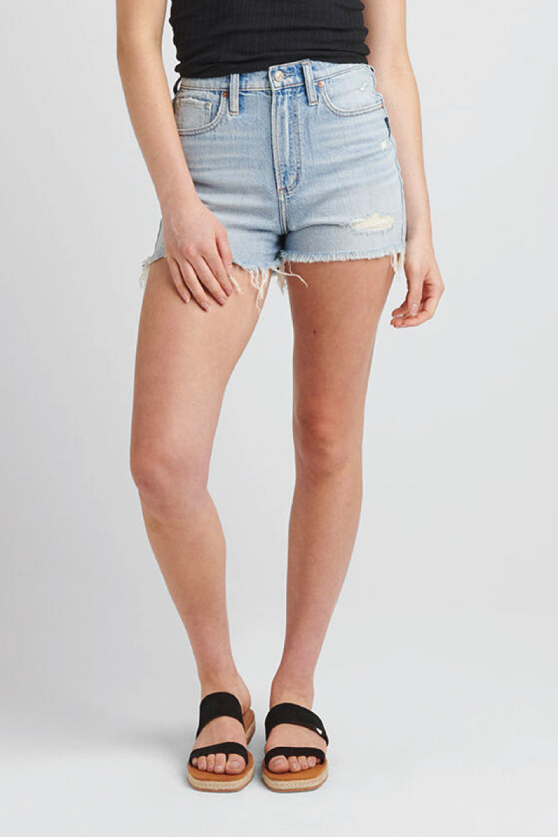 Highly Desirable High Rise Shorts